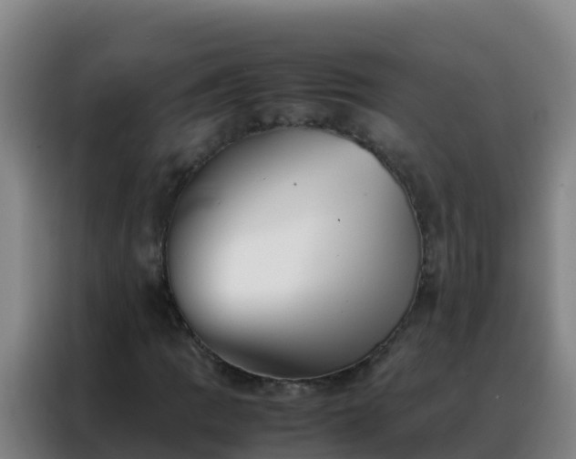 X0000088151109200705211150