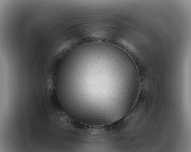 X0000088151110200705211150