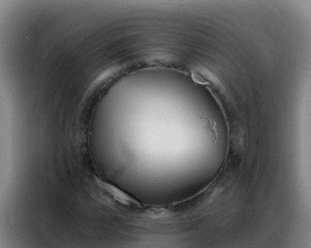 X0000088151112200705211150