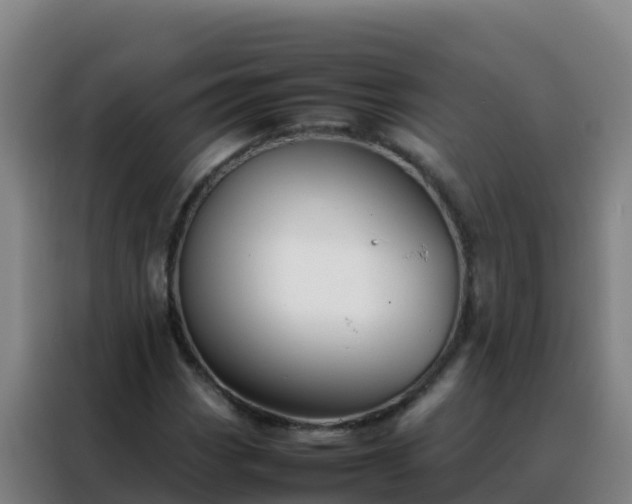 X0000088151113200705211150