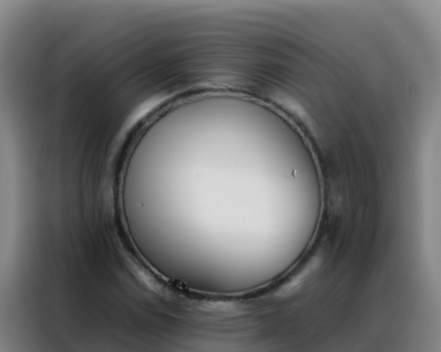 X0000088151114200705211150