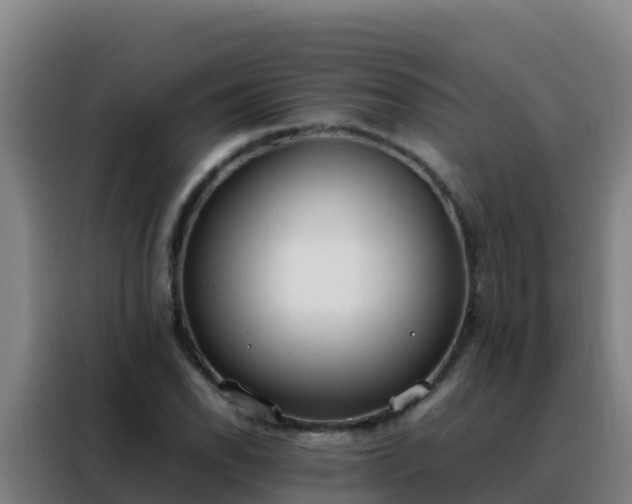 X0000088151118200705211150