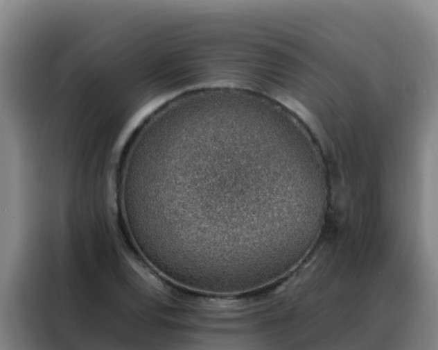 X0000088151120200705211150