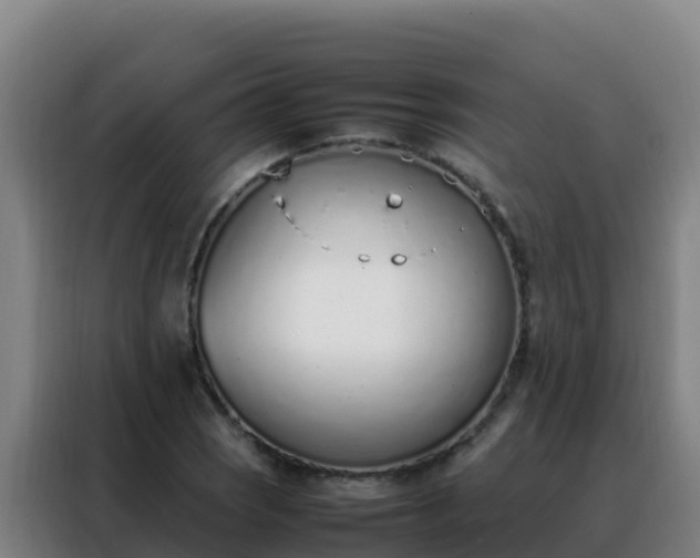 X0000088151121200705211150