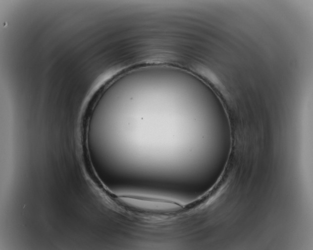 X0000088151122200705211150