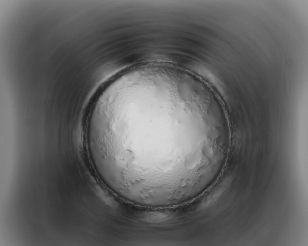 X0000088151125200705211150