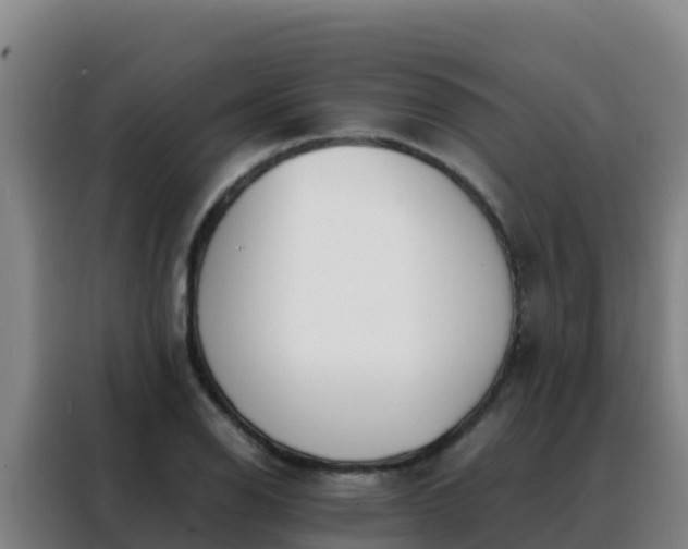 X0000088151126200705211150