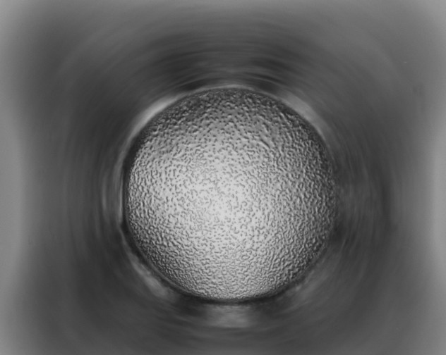 X0000088151127200705211150