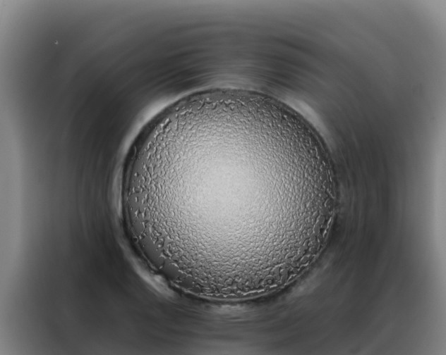 X0000088151128200705211150