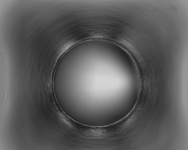 X0000088151129200705211150