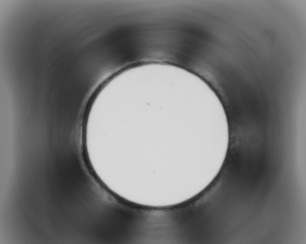 X0000088151130200705211150