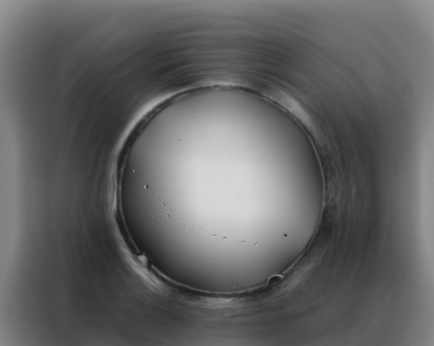 X0000088151132200705211150