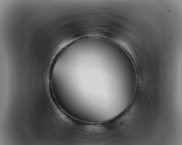 X0000088151133200705211150