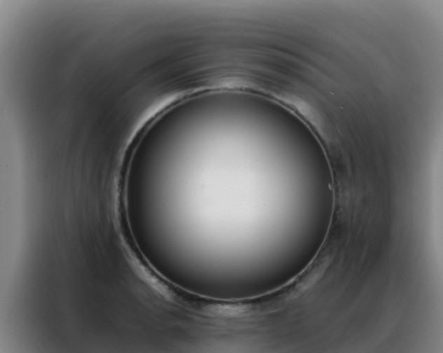 X0000088151134200705211150