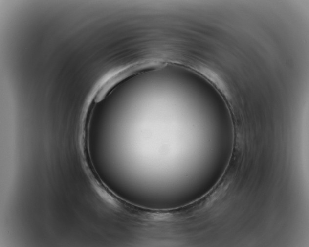 X0000088151136200705211150