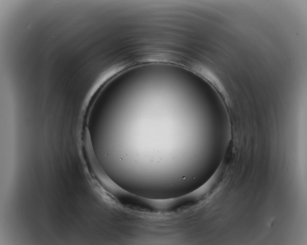 X0000088151138200705211150