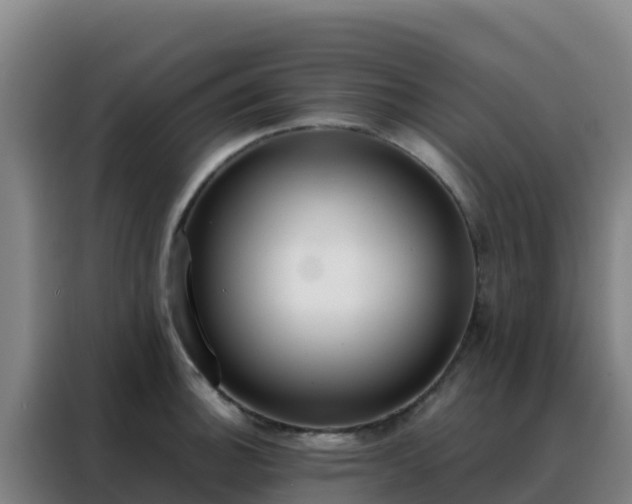 X0000088151140200705211150