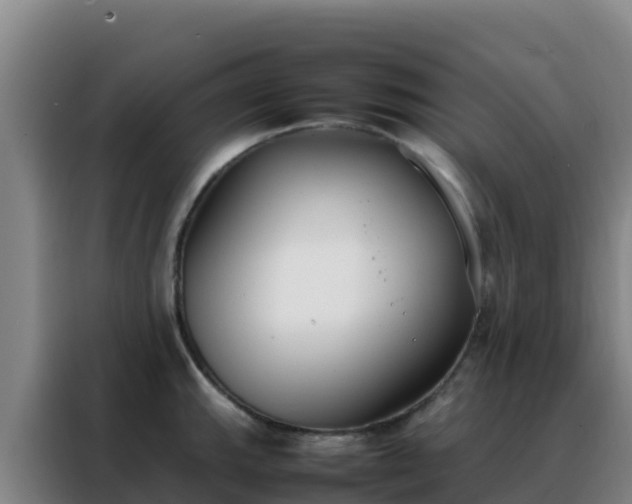 X0000088151143200705211150