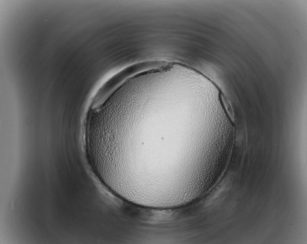 X0000088151144200705211150