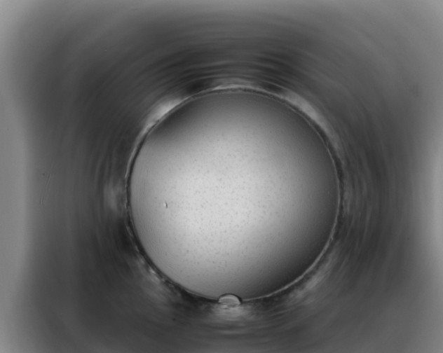 X0000088151145200705211150