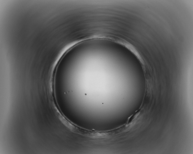 X0000088151148200705211151