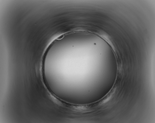 X0000088151149200705211151