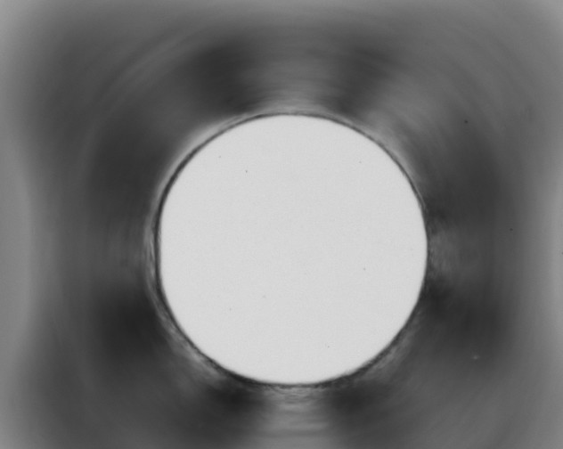 X0000088151150200705211151