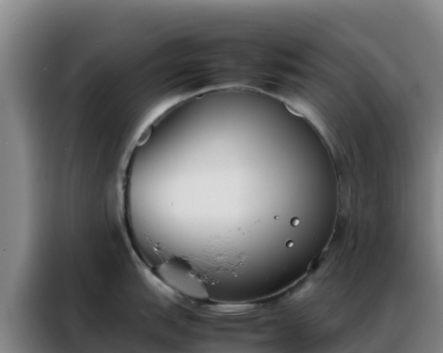 X0000088151151200705211151