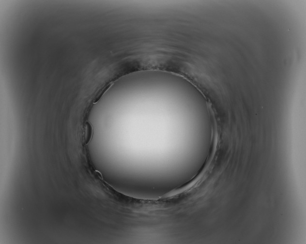 X0000088151153200705211150