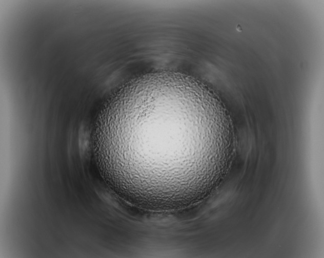 X0000088151154200705211150