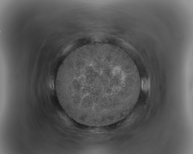 X0000088151155200705211150