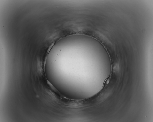 X0000088151156200705211150