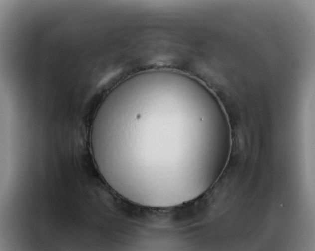 X0000088151158200705211150