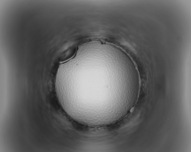 X0000088151159200705211150