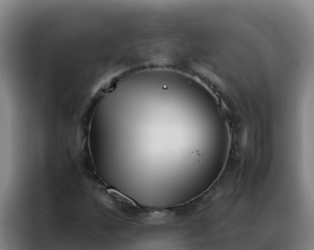 X0000088151160200705211150