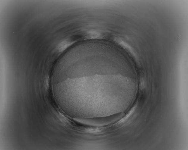 X0000088151161200705211150