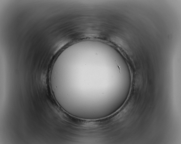 X0000088151162200705211150