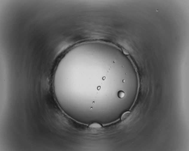 X0000088151163200705211150