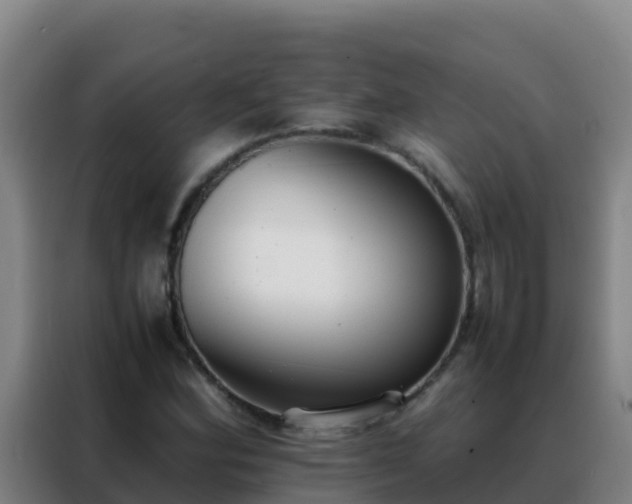 X0000088151164200705211150