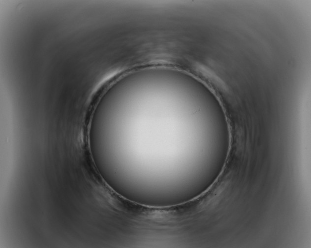 X0000088151166200705211150