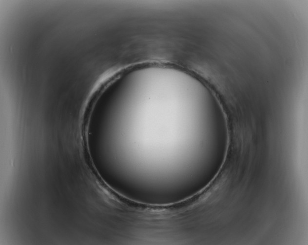 X0000088151168200705211150