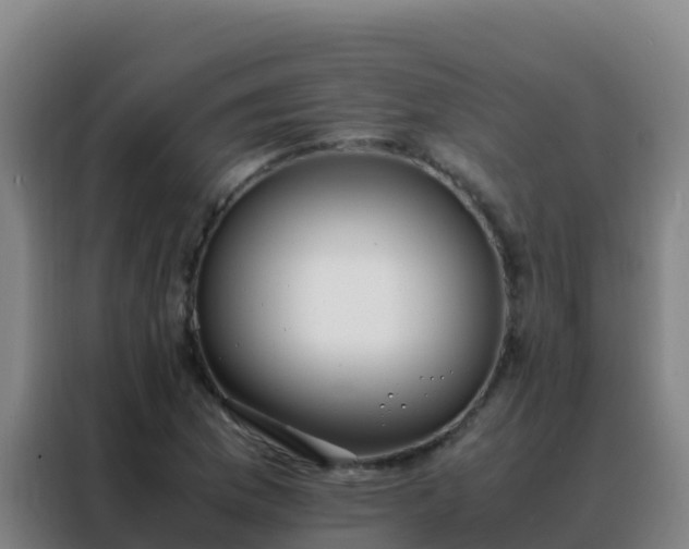 X0000088151169200705211150