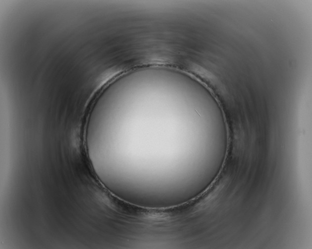 X0000088151170200705211150