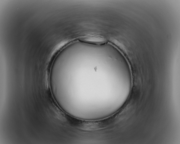 X0000088151171200705211150