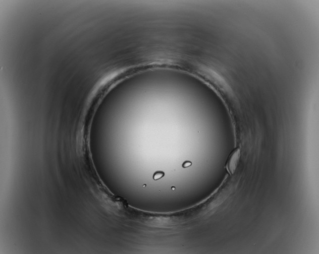 X0000088151172200705211150