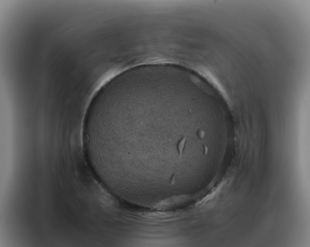 X0000088151173200705211150