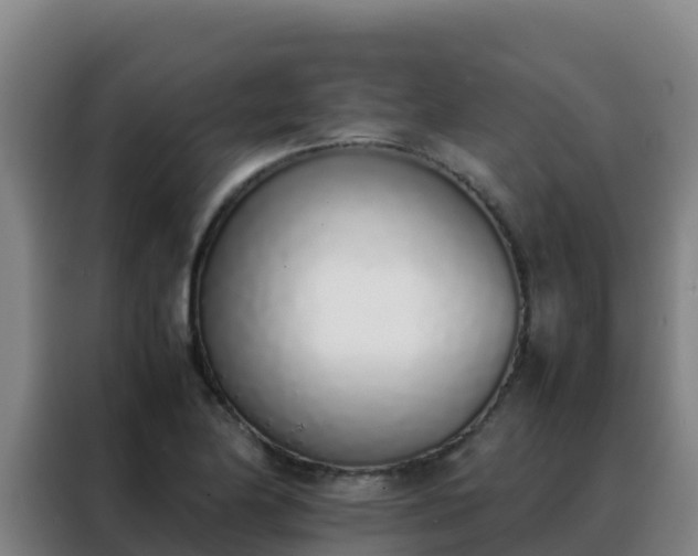 X0000088151174200705211150