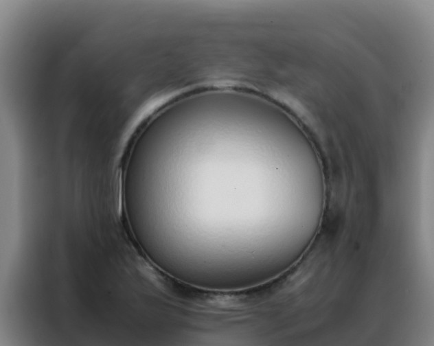 X0000088151175200705211150