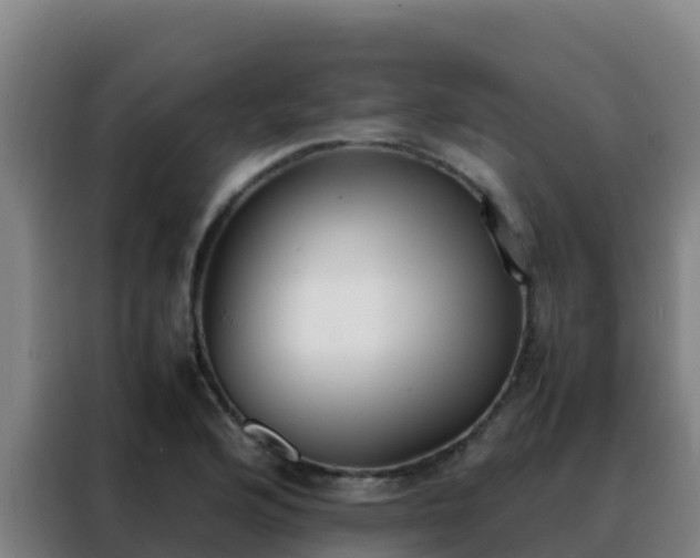 X0000088151176200705211150