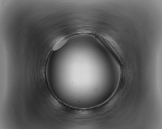 X0000088151177200705211150